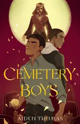 Cemetery Boys image