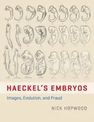 Haeckel's Embryos: Images,... image