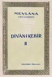 Dîvân-ı Kebîr ۲ image