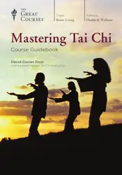 Mastering Tai Chi image
