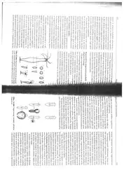 Opca zoologija image