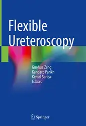 Flexible Ureteroscopy image