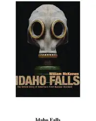 Idaho Falls: The... image