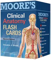 Moore’s Clinical Anatomy... image