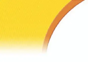 Langman s Medical...