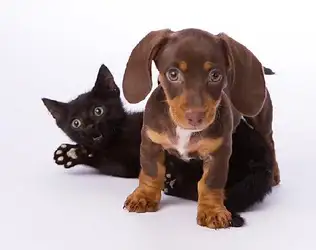 Generalized difference methods... image