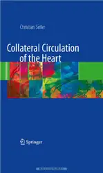 Collateral Circulation of... image