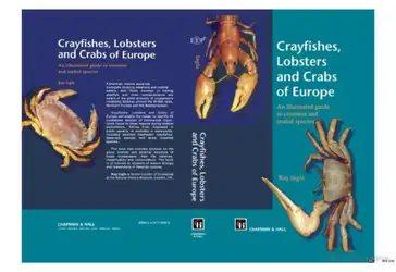 Crayfishes, Lobsters and... image