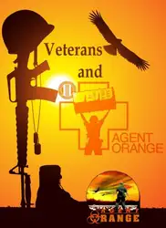 Veterans and Agent... image
