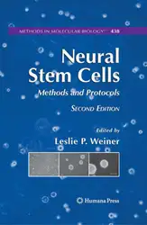 Neural Stem Cells:... image