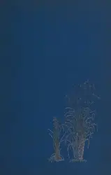 Face of North... image