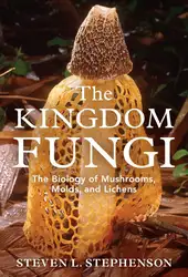 The Kingdom Fungi.... image