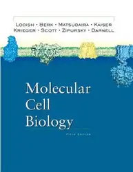 Molecular Cell Biology image