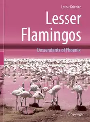 Lesser Flamingos: Descendants... image