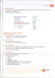 İnfotus Anatomi Konu... image