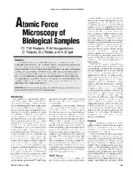 Atomic Force Microscopy... image