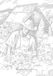 Brasil, Terra e... image