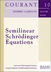 Semilinear Schrodinger Equations image