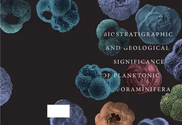 Biostratigraphic and Geological... image