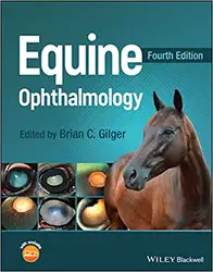Equine Ophthalmology image