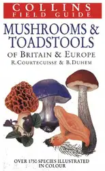 Mushrooms and Toadstools... image