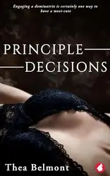 Principle Decisions image