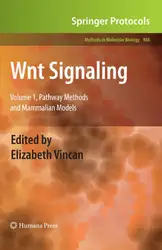 Wnt Signaling: Pathway... image