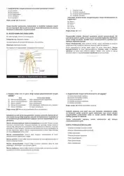 ۲. Deneme Soru... image