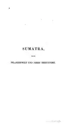 Sumatra, seine Pflanzenwelt... image