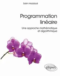 Programmation linéaire image