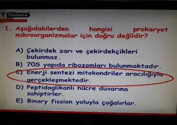 Mikrobiyoloji Soruları image