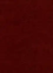 Iconografia del Retaule... image