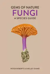 Fungi. A species... image