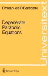 Degenerate Parabolic Equations image