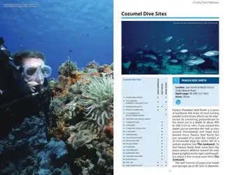 Lonely Planet Diving... image