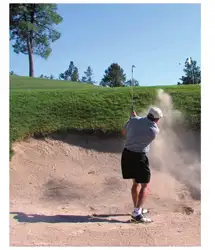 Nelson Advanced Functions... image