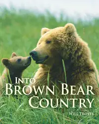 Into Brown Bear... image