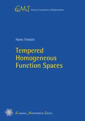 Tempered Homogeneous Function... image