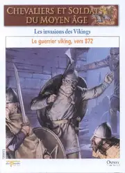 Vikings Invasion ۸۷۲ image
