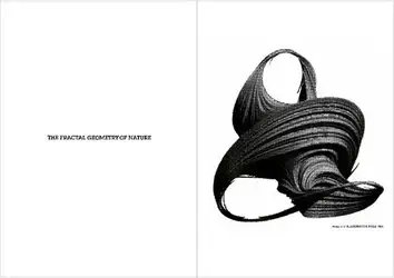 The Fractal Geometry... image