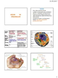 Tusem Biyokimya Slaytları image
