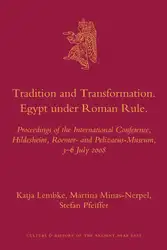 Tradition and transformation:... image