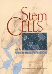 Stem Cells and... image