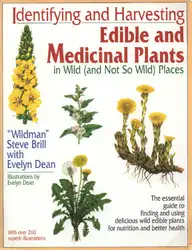 Identifying and Harvesting... image