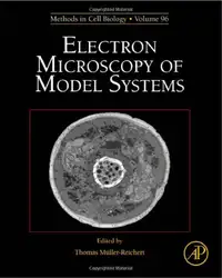 Electron Microscopy of... image