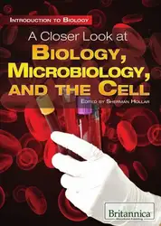 A Closer Look... image