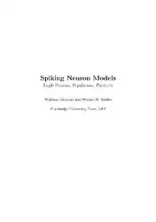 Spiking Neuron Models image
