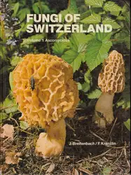 Fungi of Switzerland.... image