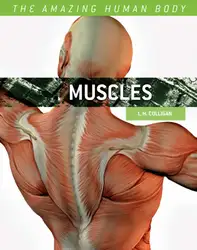Muscles (The Amazing... image