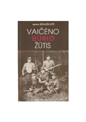 Vaičėno būrio žūtis image